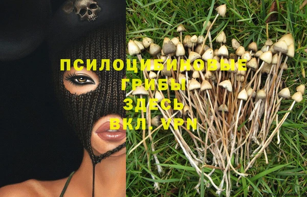 марки lsd Бородино